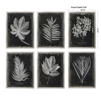 Foliage Framed Prints Set/6