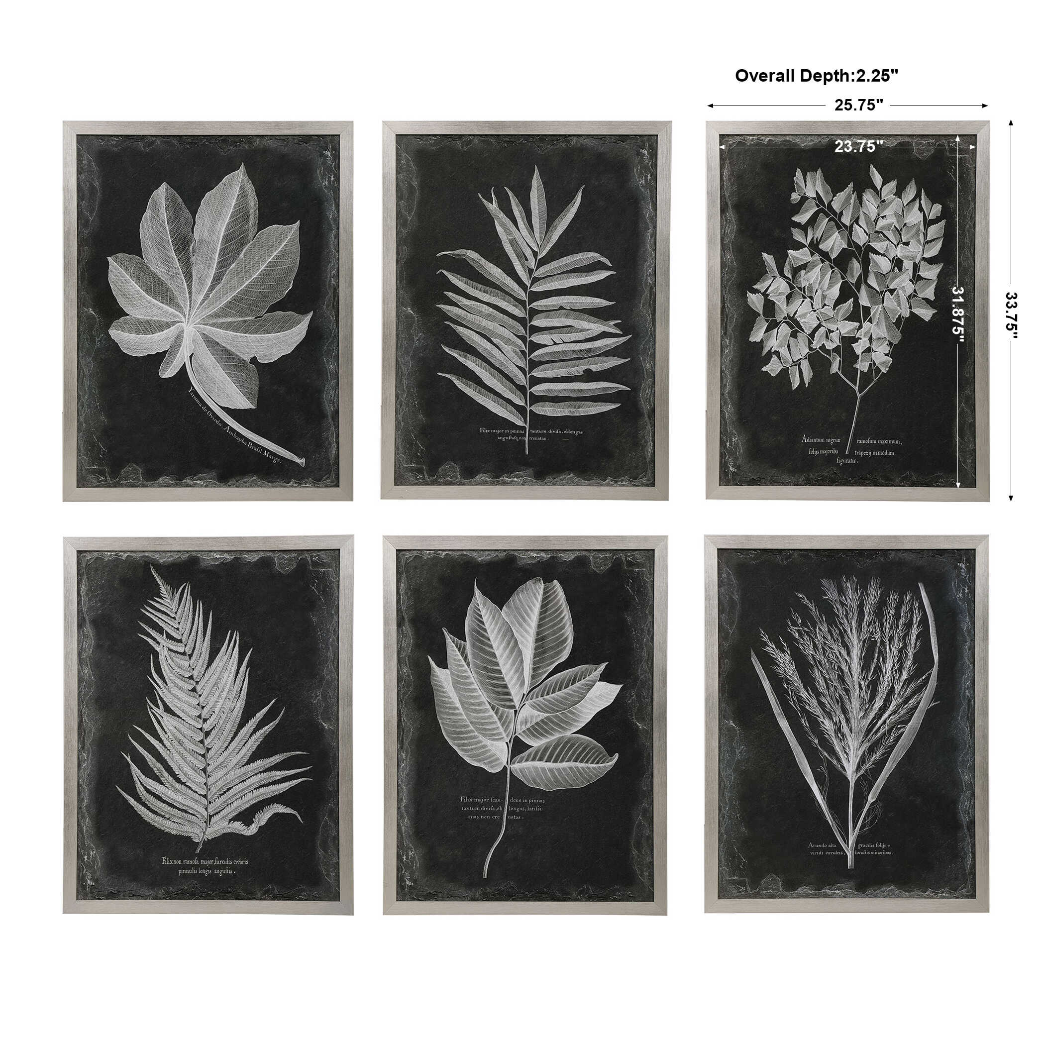 Foliage Framed Prints Set/6