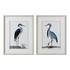 Shore Birds Framed Prints Set/2