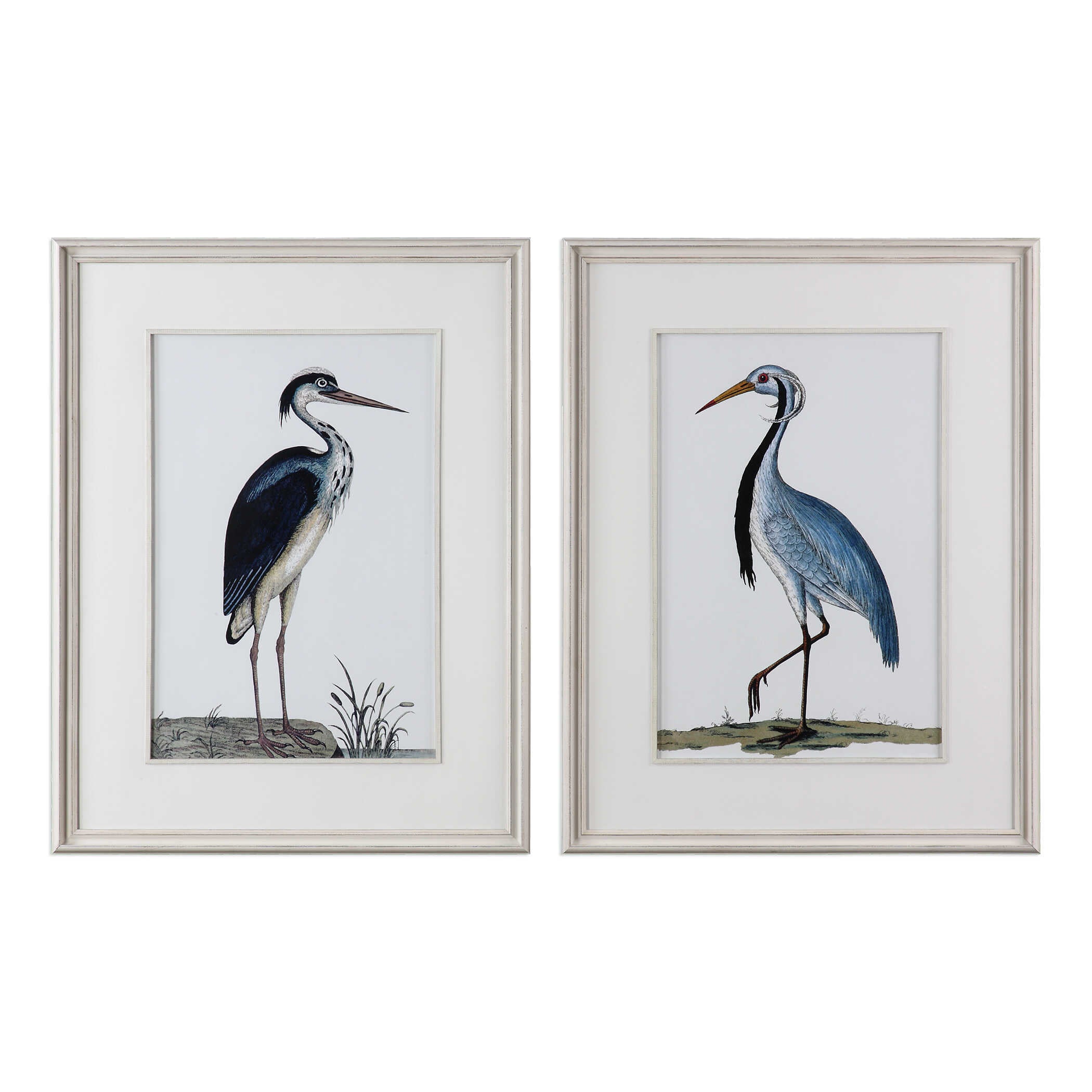 Shore Birds Framed Prints Set/2