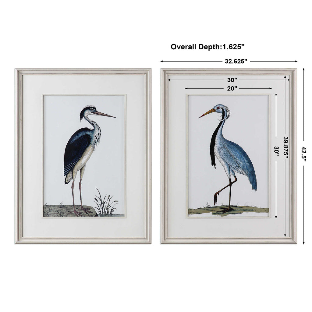 Shore Birds Framed Prints Set/2