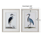 Shore Birds Framed Prints Set/2