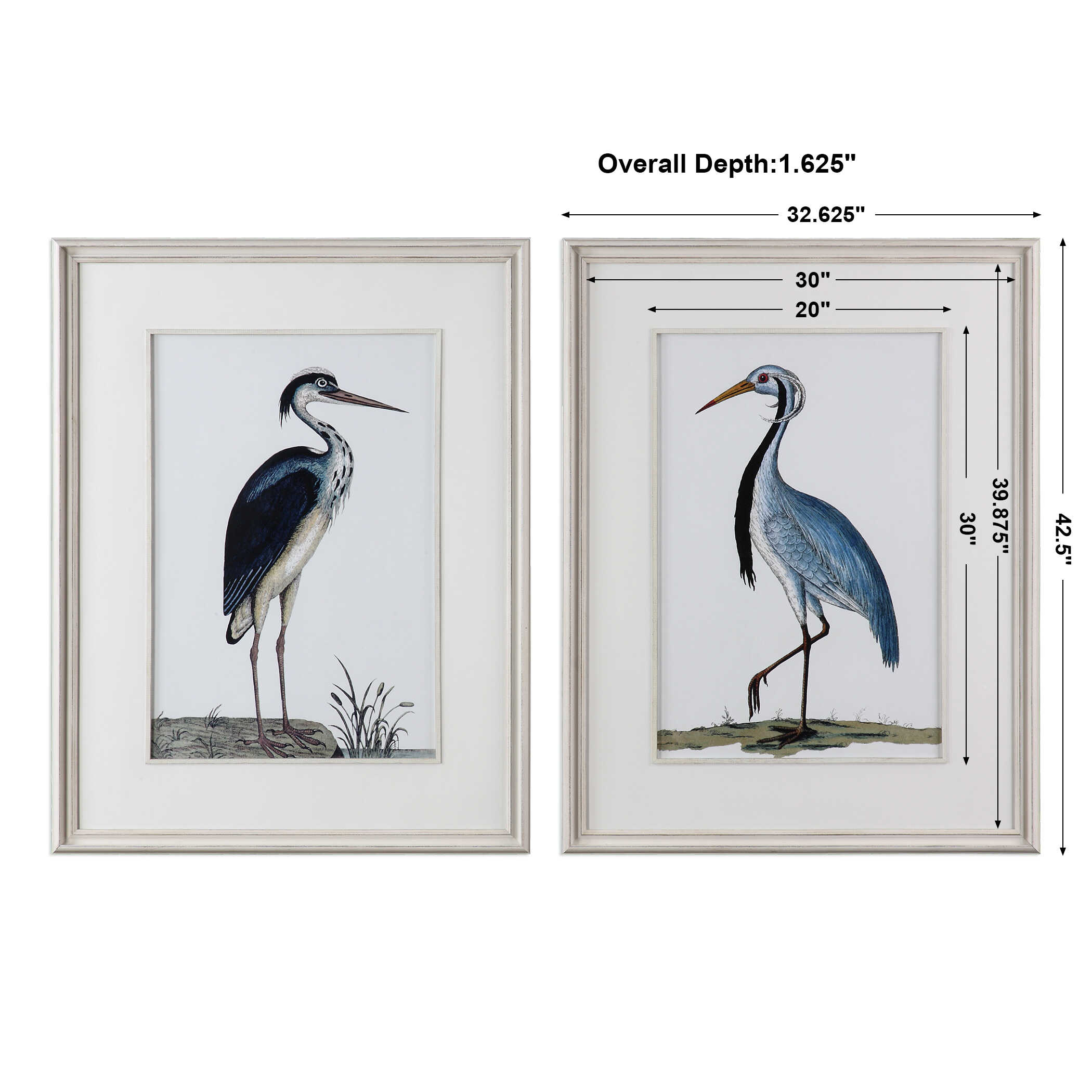 Shore Birds Framed Prints Set/2