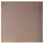 Dandelion Seedhead Framed Print