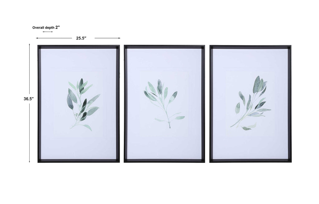 Simple Sage Watercolor Prints Set/3