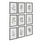 Farmhouse Florals Framed Prints Set/9