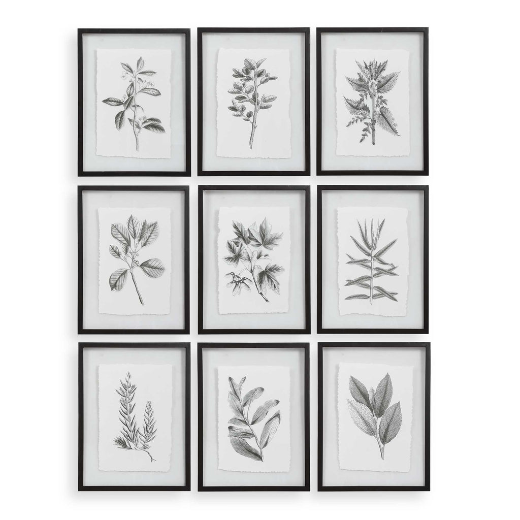 Farmhouse Florals Framed Prints Set/9