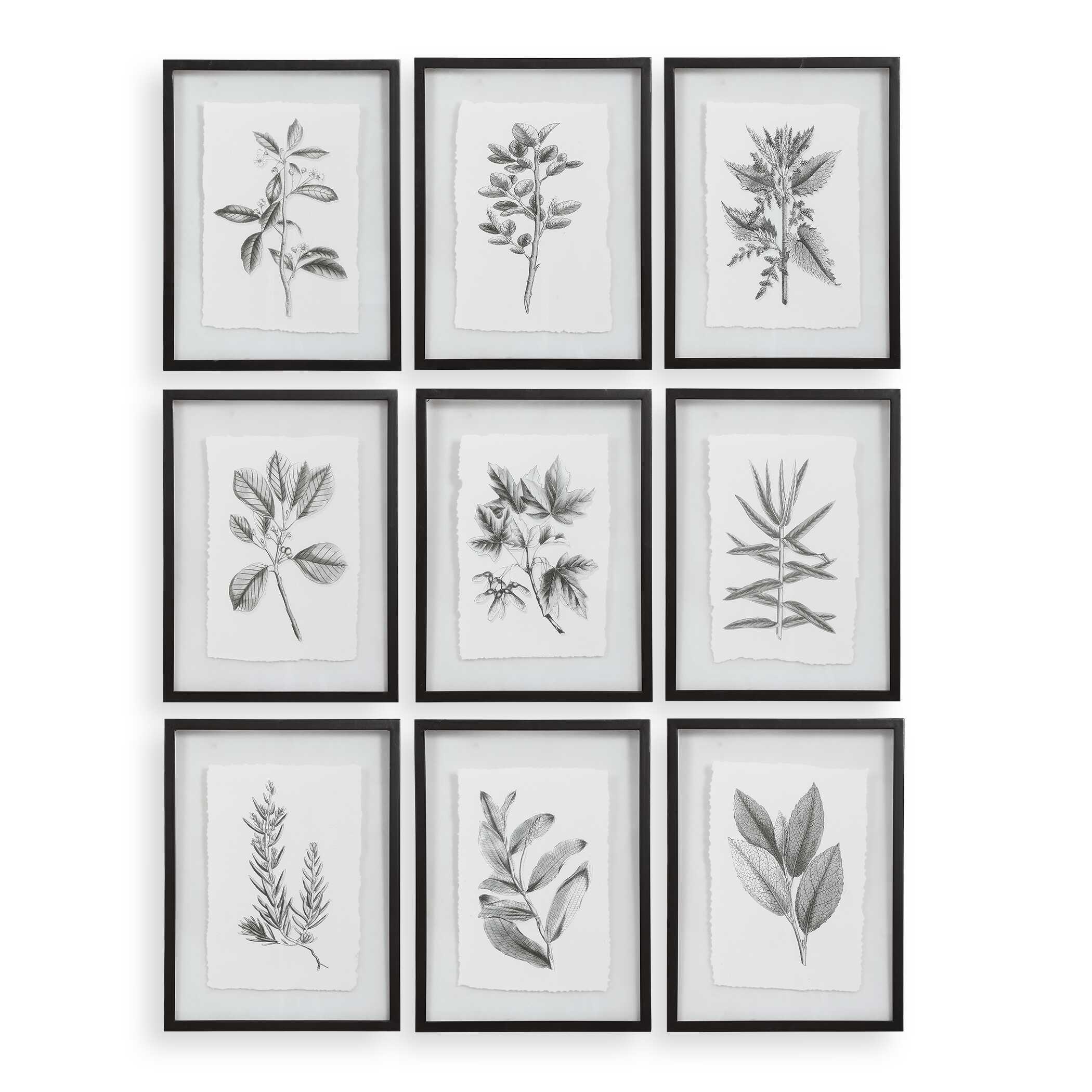 Farmhouse Florals Framed Prints Set/9