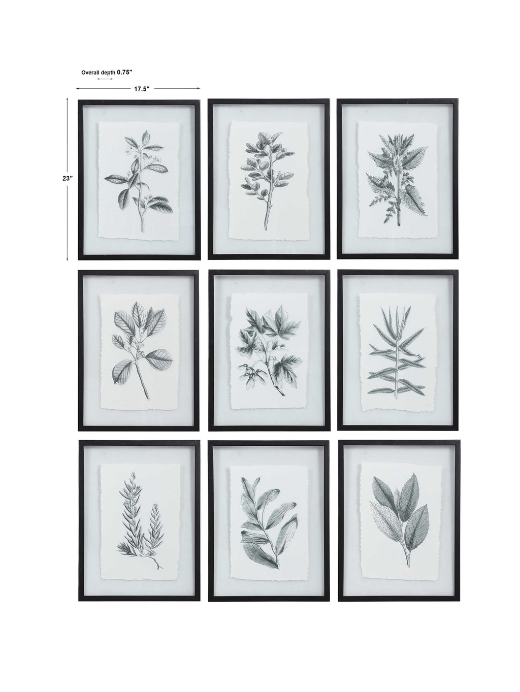 Farmhouse Florals Framed Prints Set/9