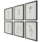 Forest Finds Framed Prints Set/6