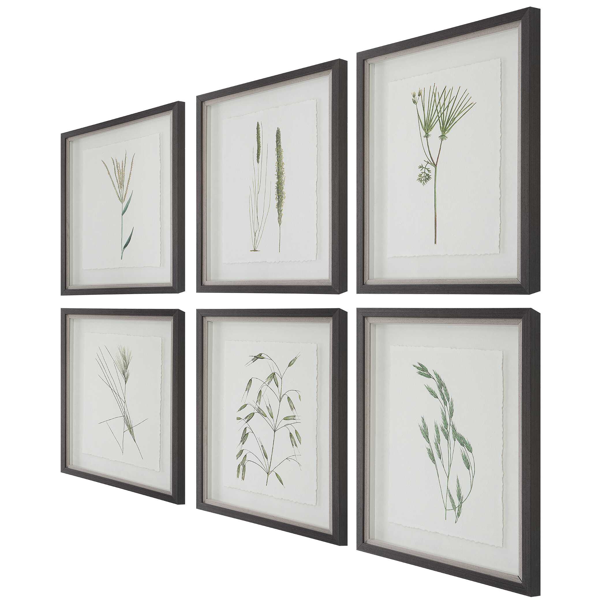 Forest Finds Framed Prints Set/6