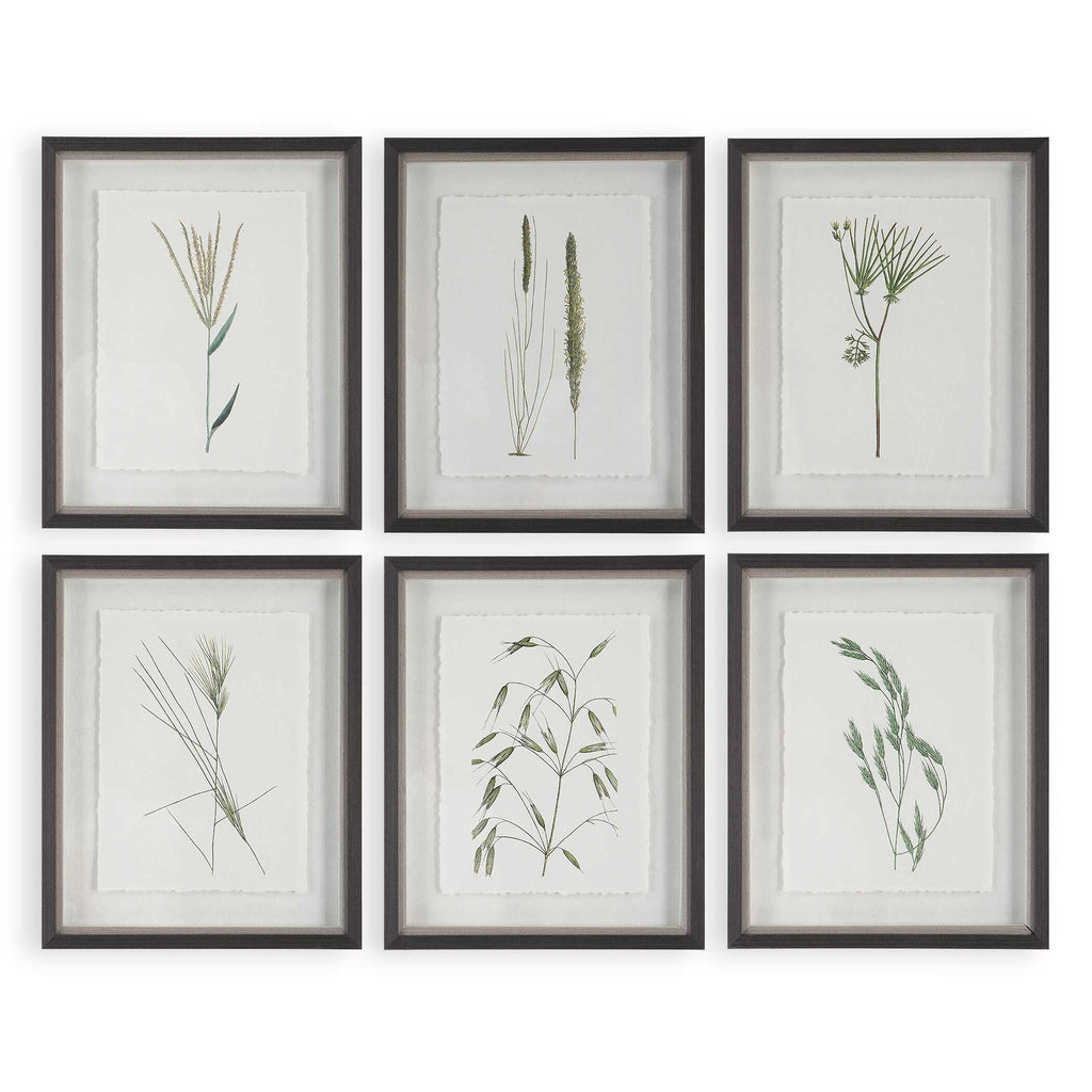 Forest Finds Framed Prints Set/6