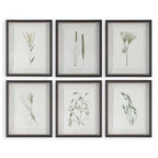 Forest Finds Framed Prints Set/6