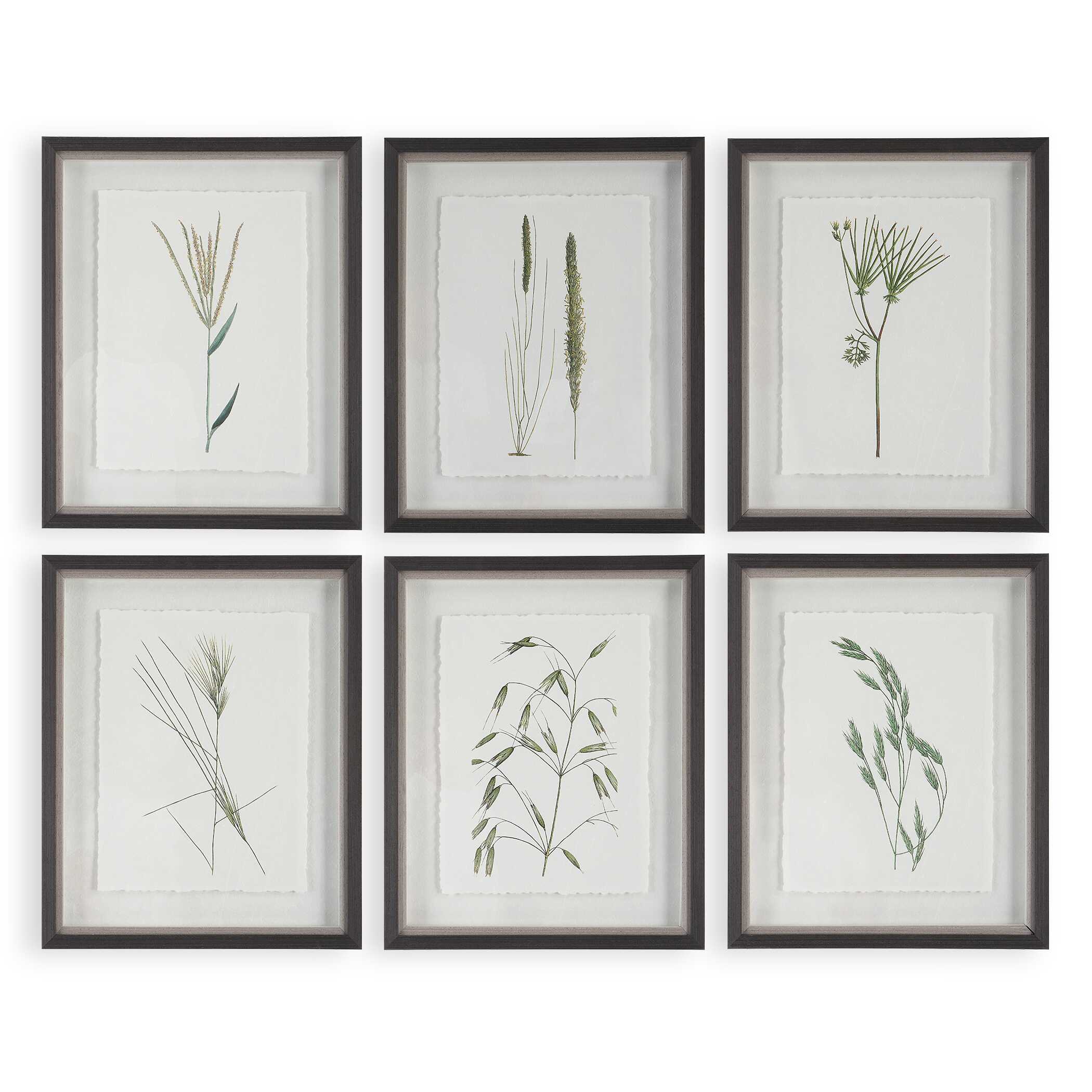 Forest Finds Framed Prints Set/6