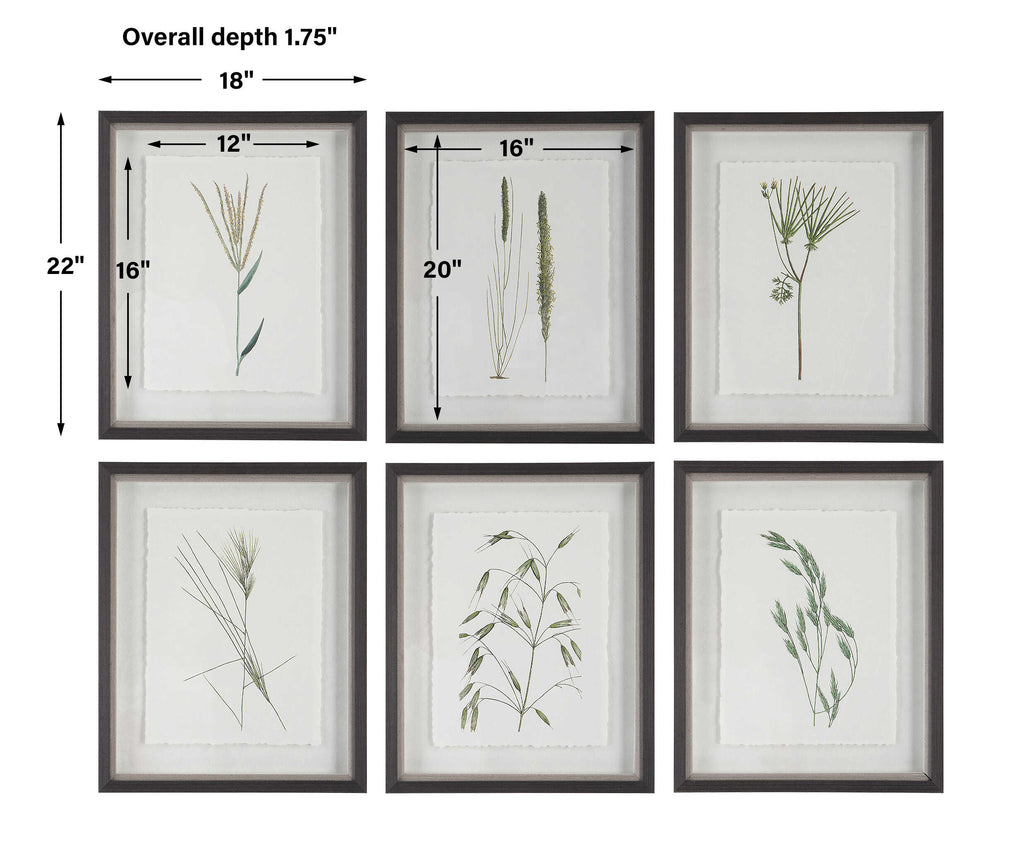 Forest Finds Framed Prints Set/6