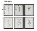 Forest Finds Framed Prints Set/6