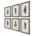 Birds Of A Feather Framed Prints Set/6
