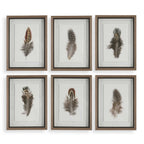 Birds Of A Feather Framed Prints Set/6
