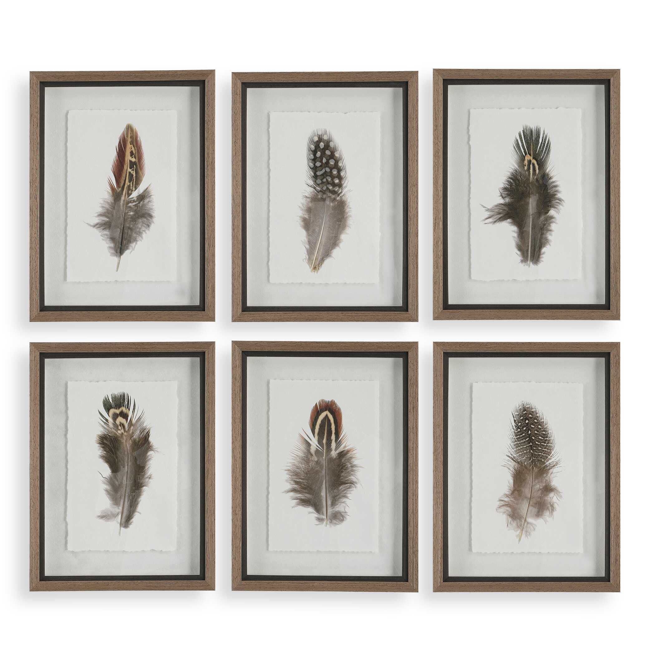 Birds Of A Feather Framed Prints Set/6