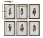 Birds Of A Feather Framed Prints Set/6