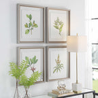 Wildflower Study Framed Prints Set/4