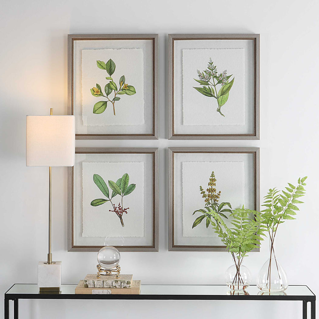 Wildflower Study Framed Prints Set/4