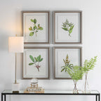 Wildflower Study Framed Prints Set/4