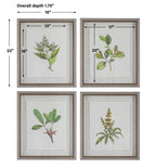 Wildflower Study Framed Prints Set/4
