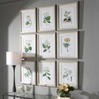 Antique Botanicals Framed Prints Set/9