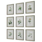 Antique Botanicals Framed Prints Set/9