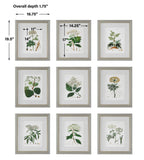 Antique Botanicals Framed Prints Set/9