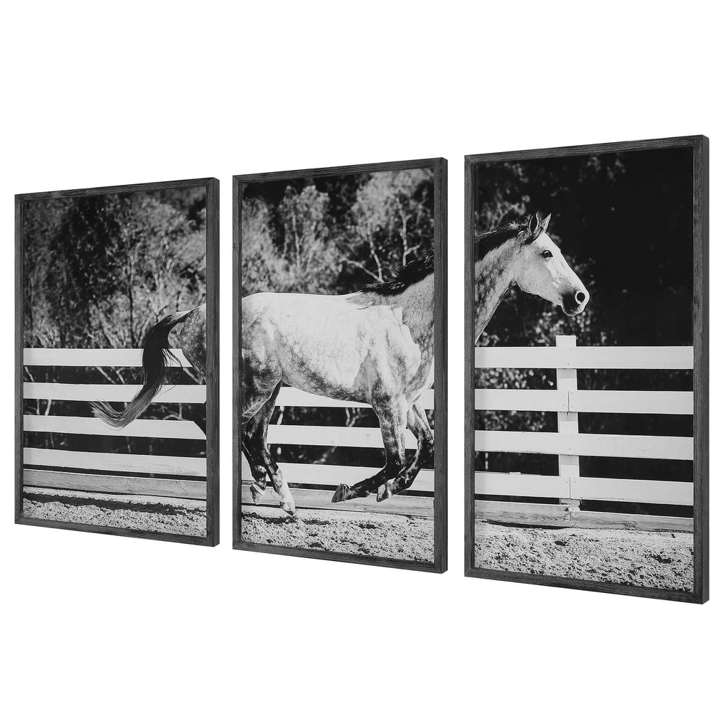 Galloping Forward Equine Prints Set/3