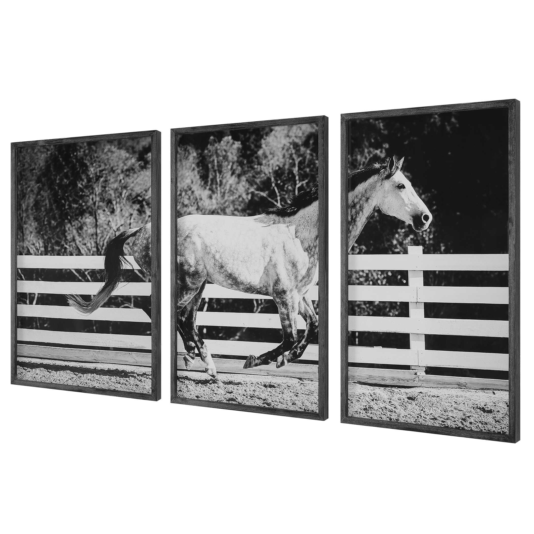 Galloping Forward Equine Prints Set/3