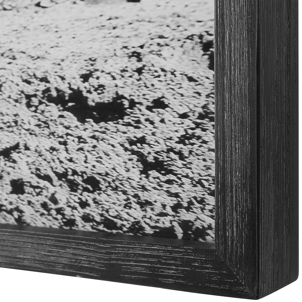 Galloping Forward Equine Prints Set/3