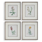 Heirloom Blooms Study Framed Prints Set/4