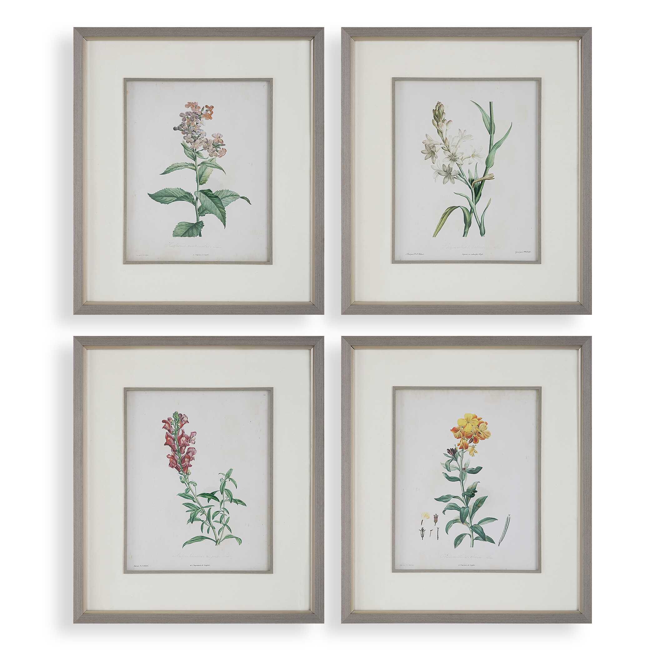 Heirloom Blooms Study Framed Prints Set/4