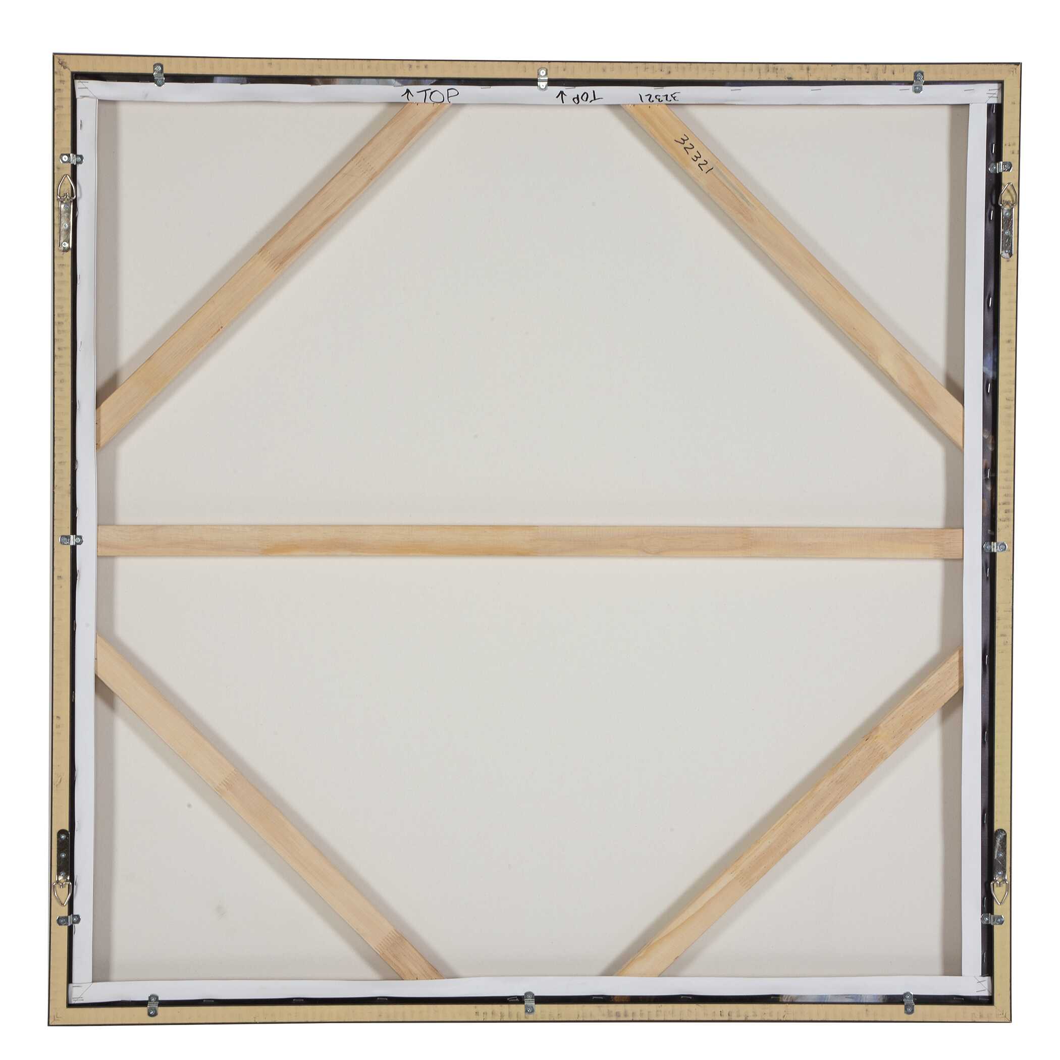 Natural Wonder Framed Floral Art