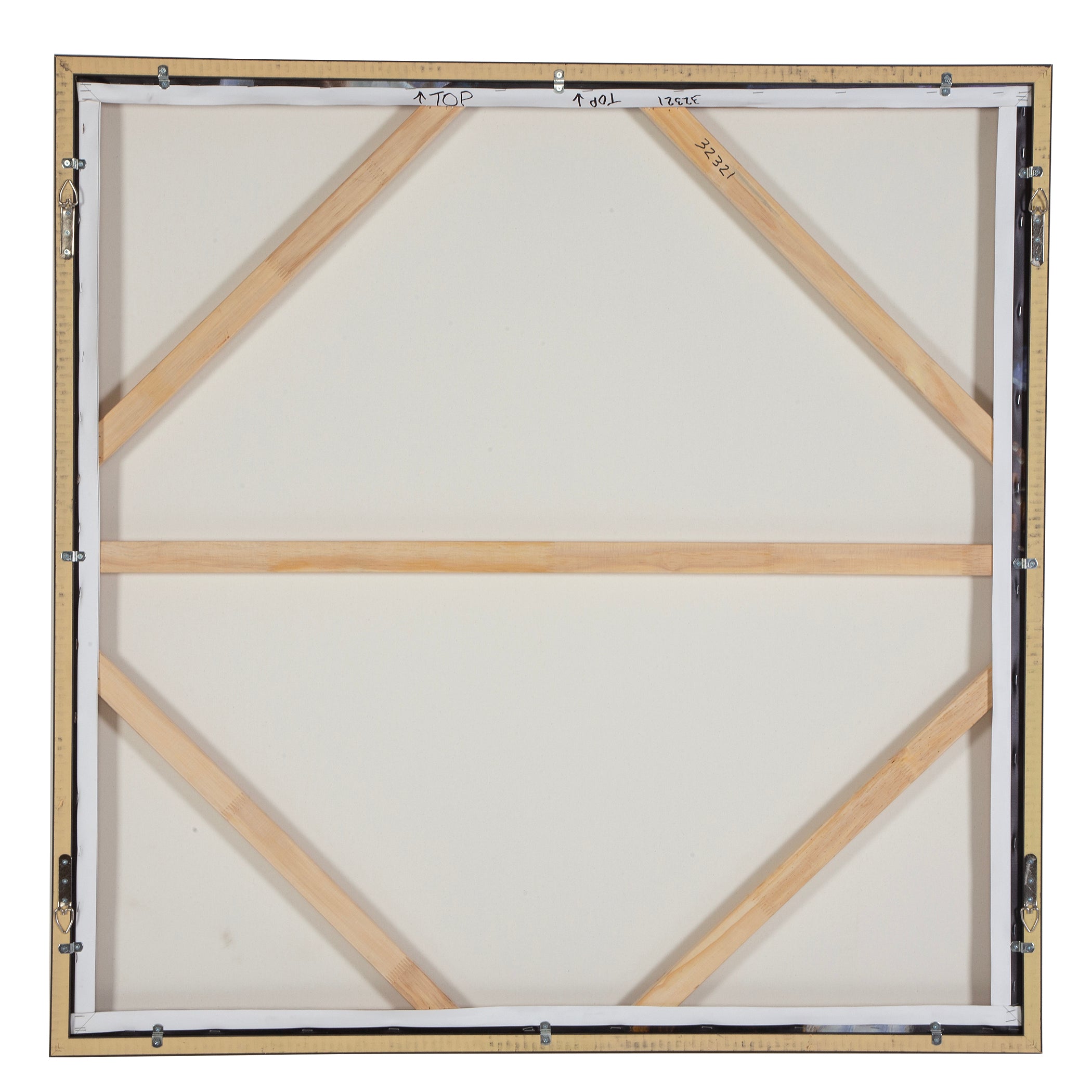 Natural Wonder Framed Floral Art