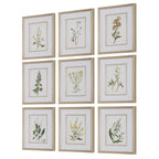 Botanical Flowers Framed Prints Set/9
