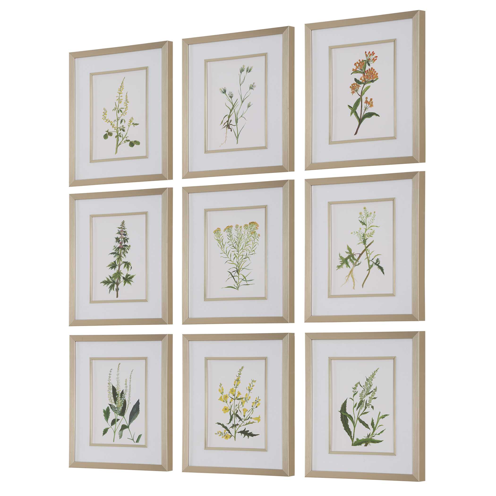 Botanical Flowers Framed Prints Set/9