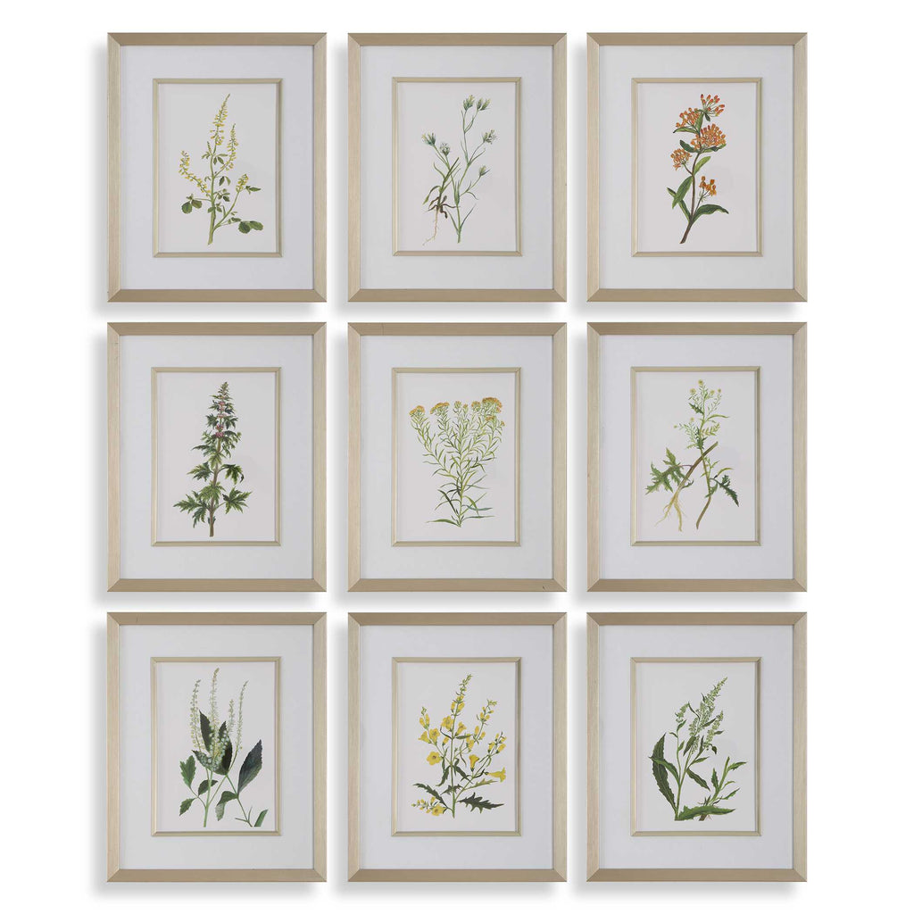 Botanical Flowers Framed Prints Set/9
