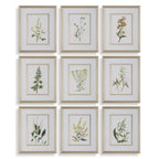 Botanical Flowers Framed Prints Set/9