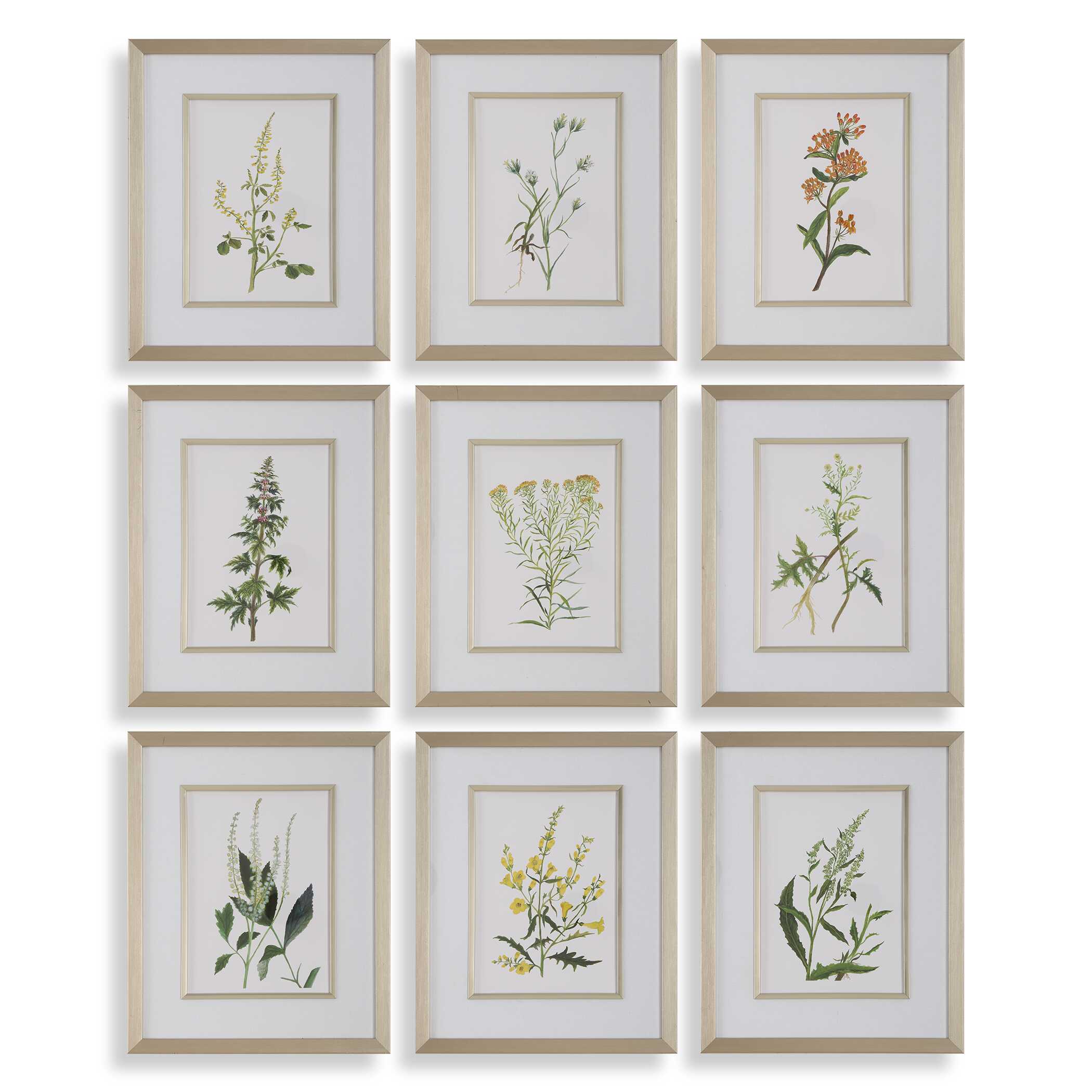 Botanical Flowers Framed Prints Set/9