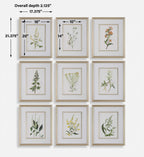 Botanical Flowers Framed Prints Set/9