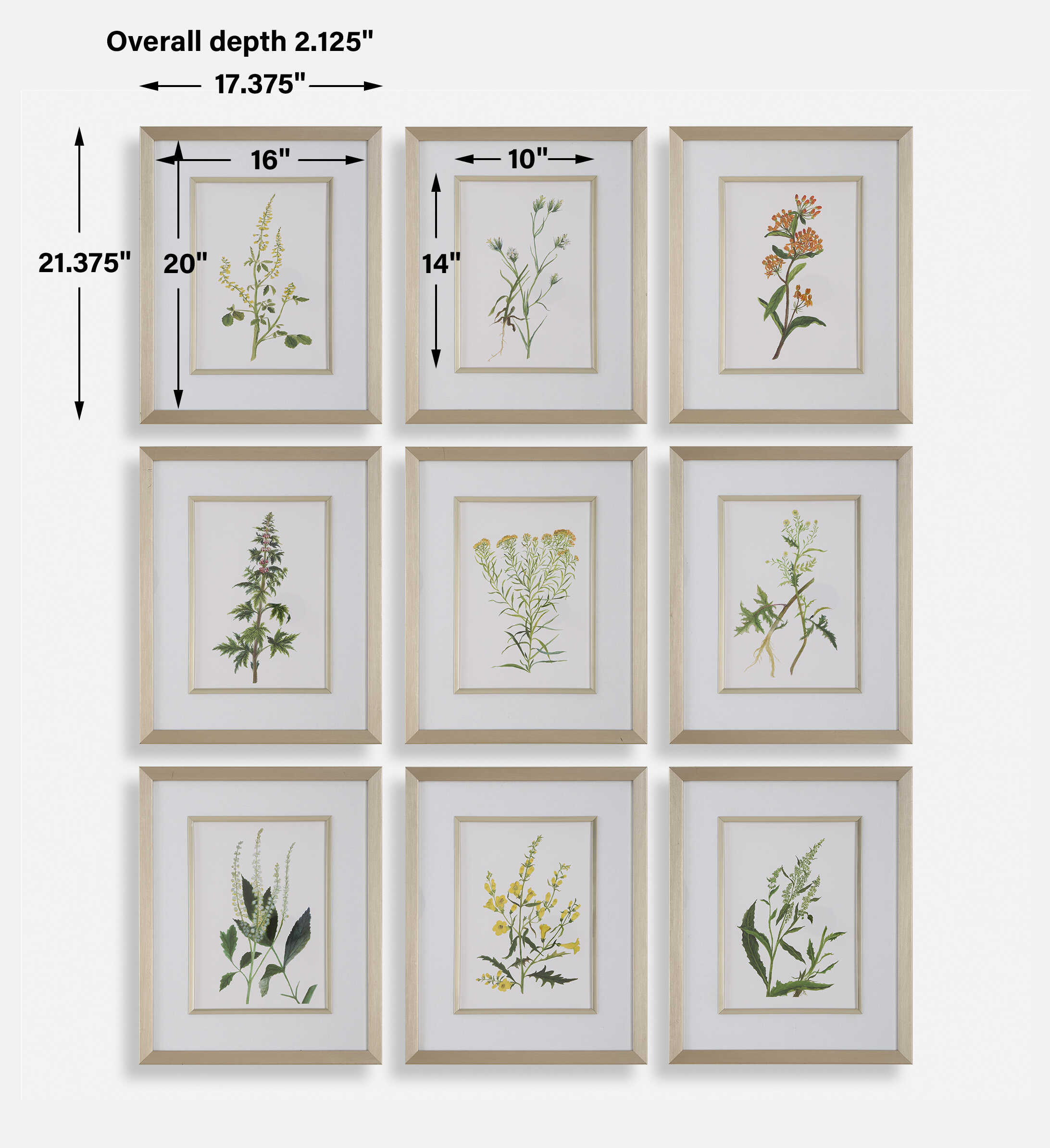 Botanical Flowers Framed Prints Set/9