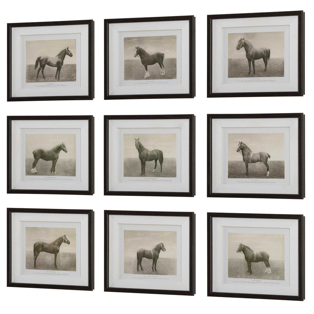 Equine Dynasty Framed Prints Set/9