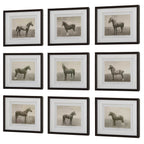 Equine Dynasty Framed Prints Set/9