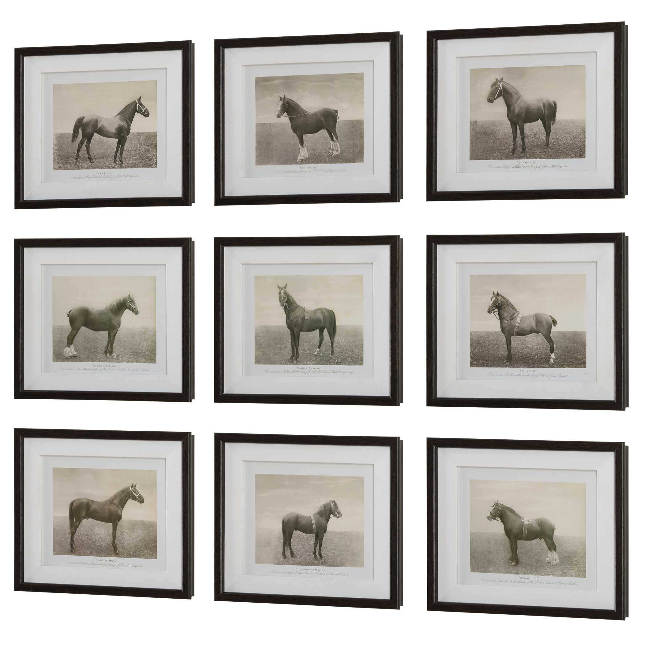 Equine Dynasty Framed Prints Set/9