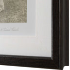 Equine Dynasty Framed Prints Set/9