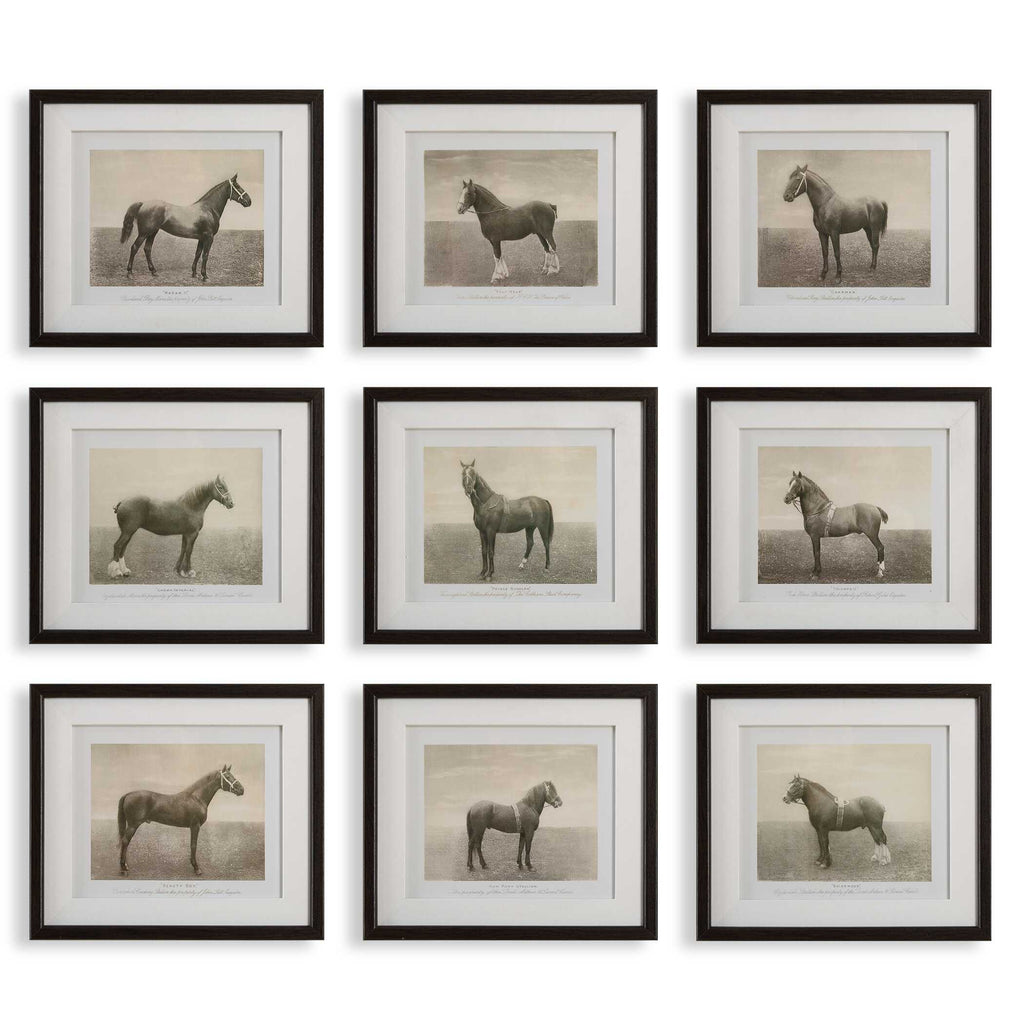 Equine Dynasty Framed Prints Set/9